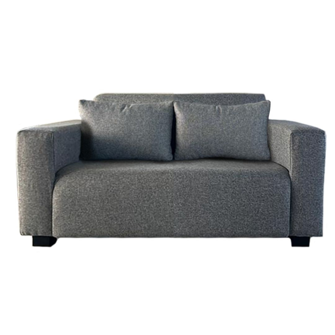 Stylish 2-Seater Couch with 2 Cushions – Compact & Comfortable Sofa for Small Spaces