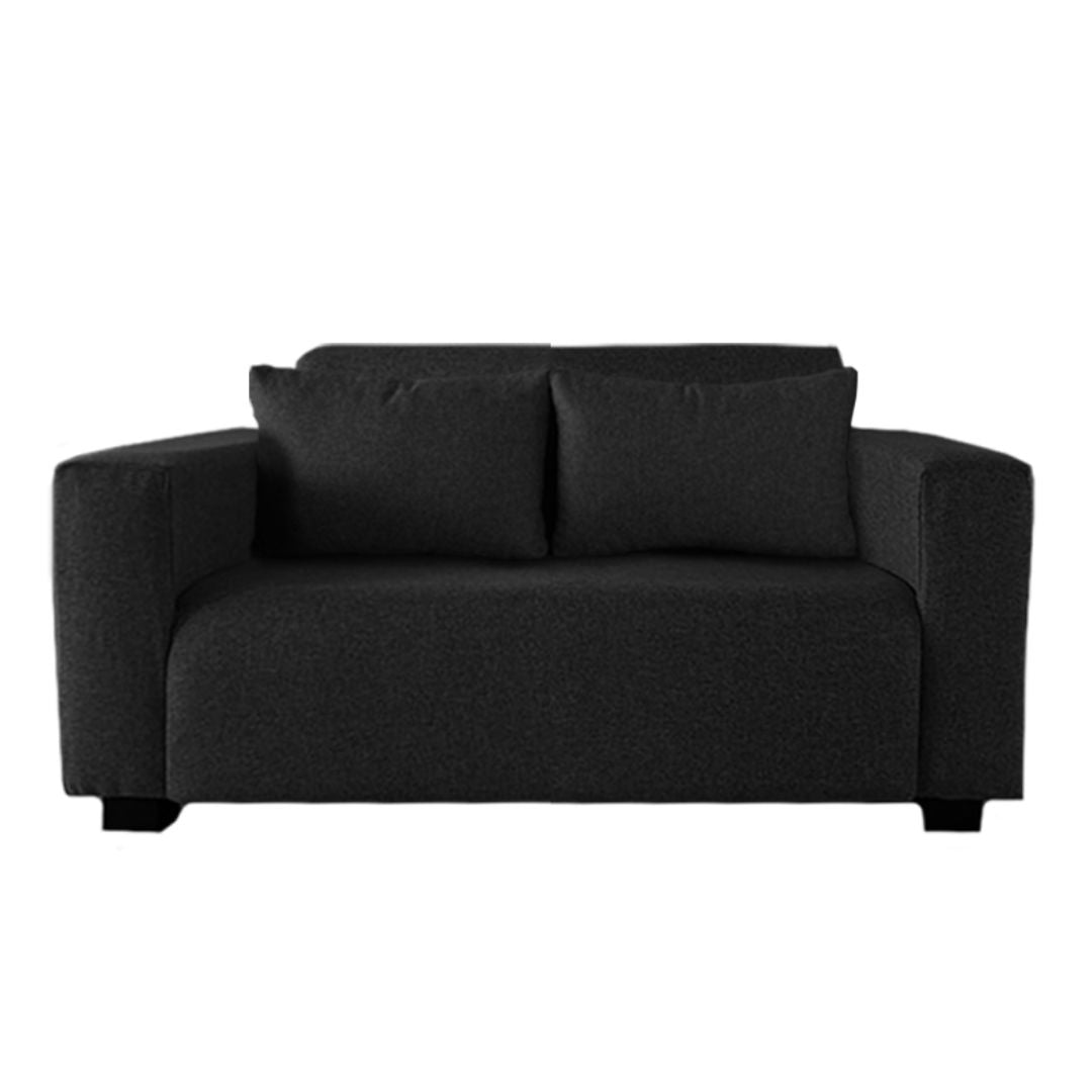 Stylish 2-Seater Couch with 2 Cushions – Compact & Comfortable Sofa for Small Spaces