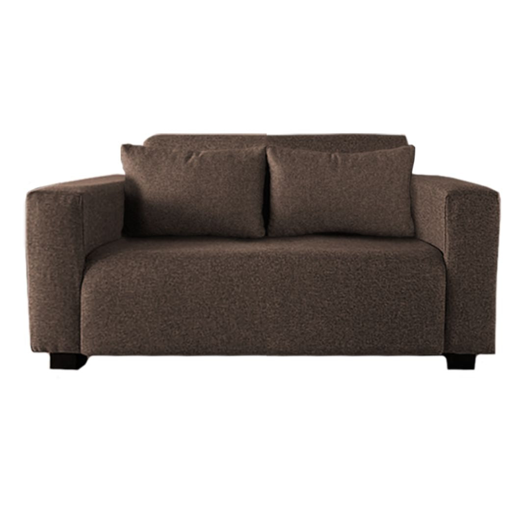 Stylish 2-Seater Couch with 2 Cushions – Compact & Comfortable Sofa for Small Spaces